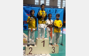 Coupe de l'Oise Katas et combats 